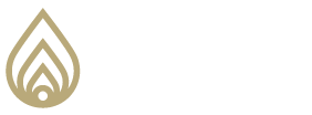 TPI_Logo_Gold_Flame__White_Lettering