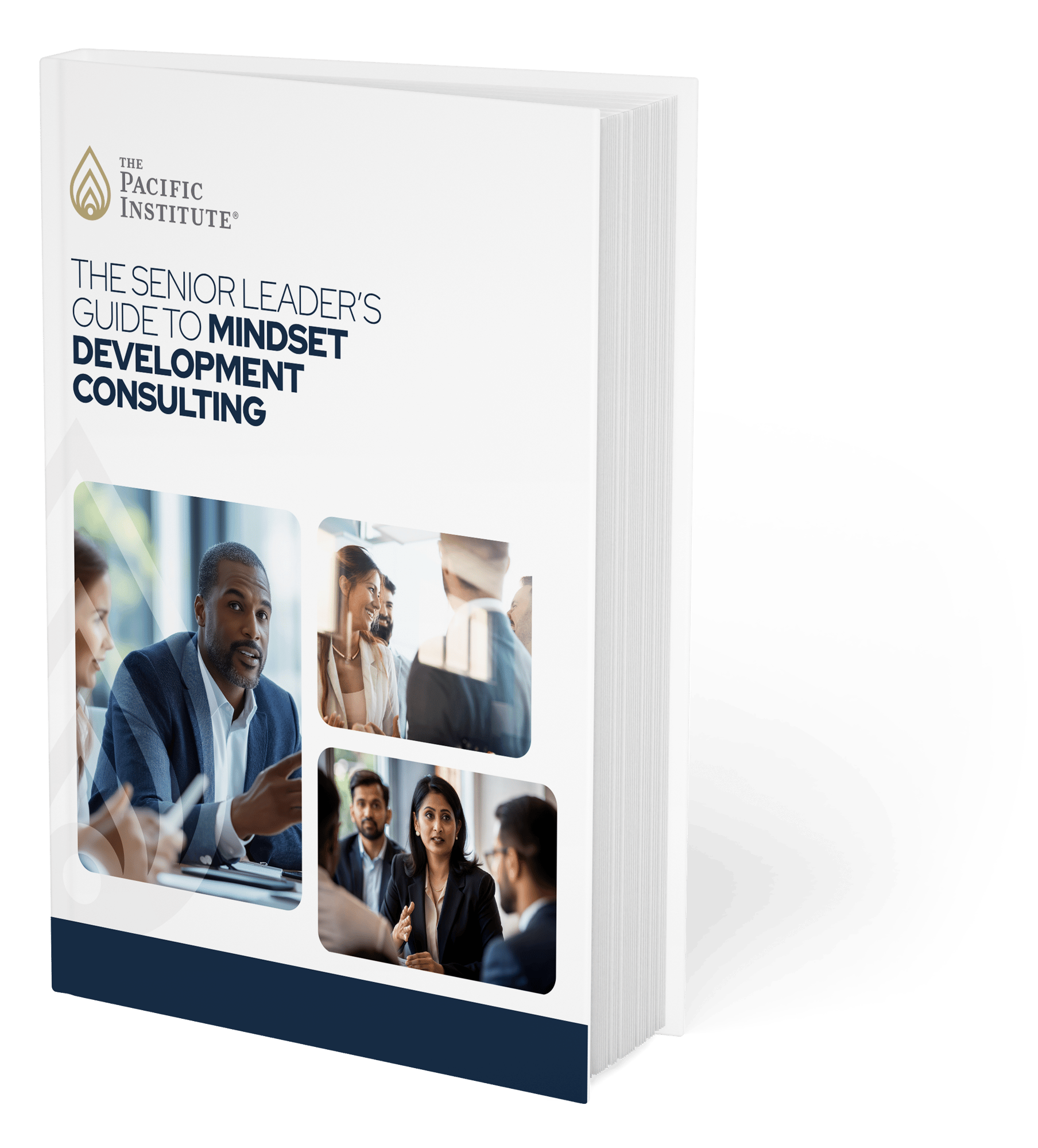 The Senior Leader’s Guide to Mindset Development Consulting COVER