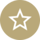 Gold star icon